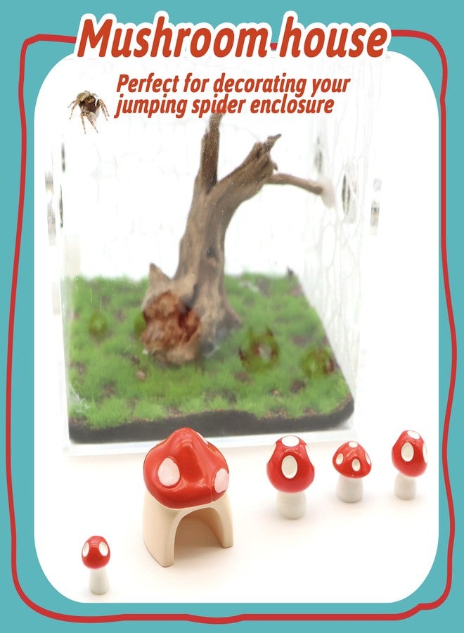 LUTQ 5 Pack Jumping Spider Habitat Decor with Mushroom Hide - Resin Spider Accessories and Enclosure Accessories - Image 5